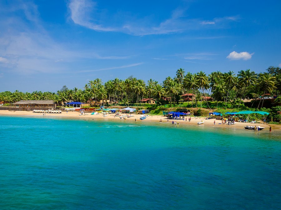 Palm-lined Goa beach with turquoise sea