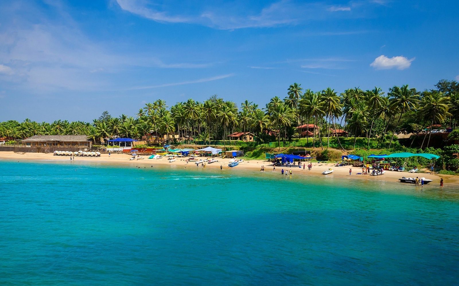 Palm-lined beach with turquoise water